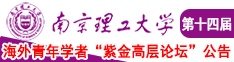 完全免费黄片在线鸡巴南京理工大学第十四届海外青年学者紫金论坛诚邀海内外英才！